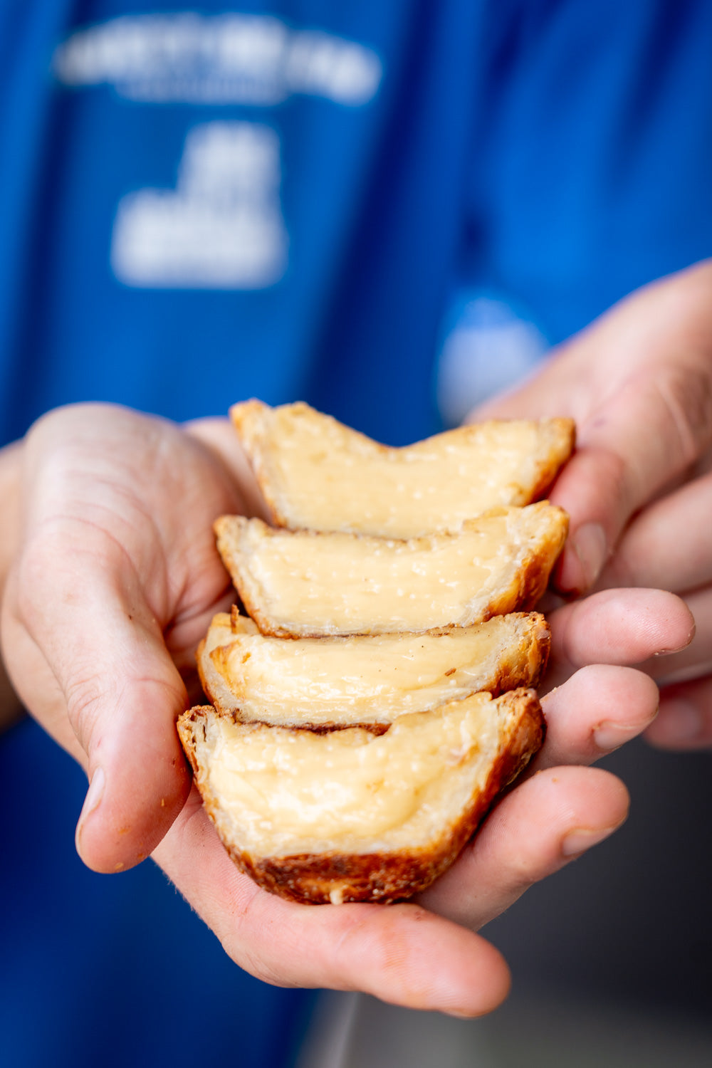 Vegan Portuguese Tarts (Christmas)