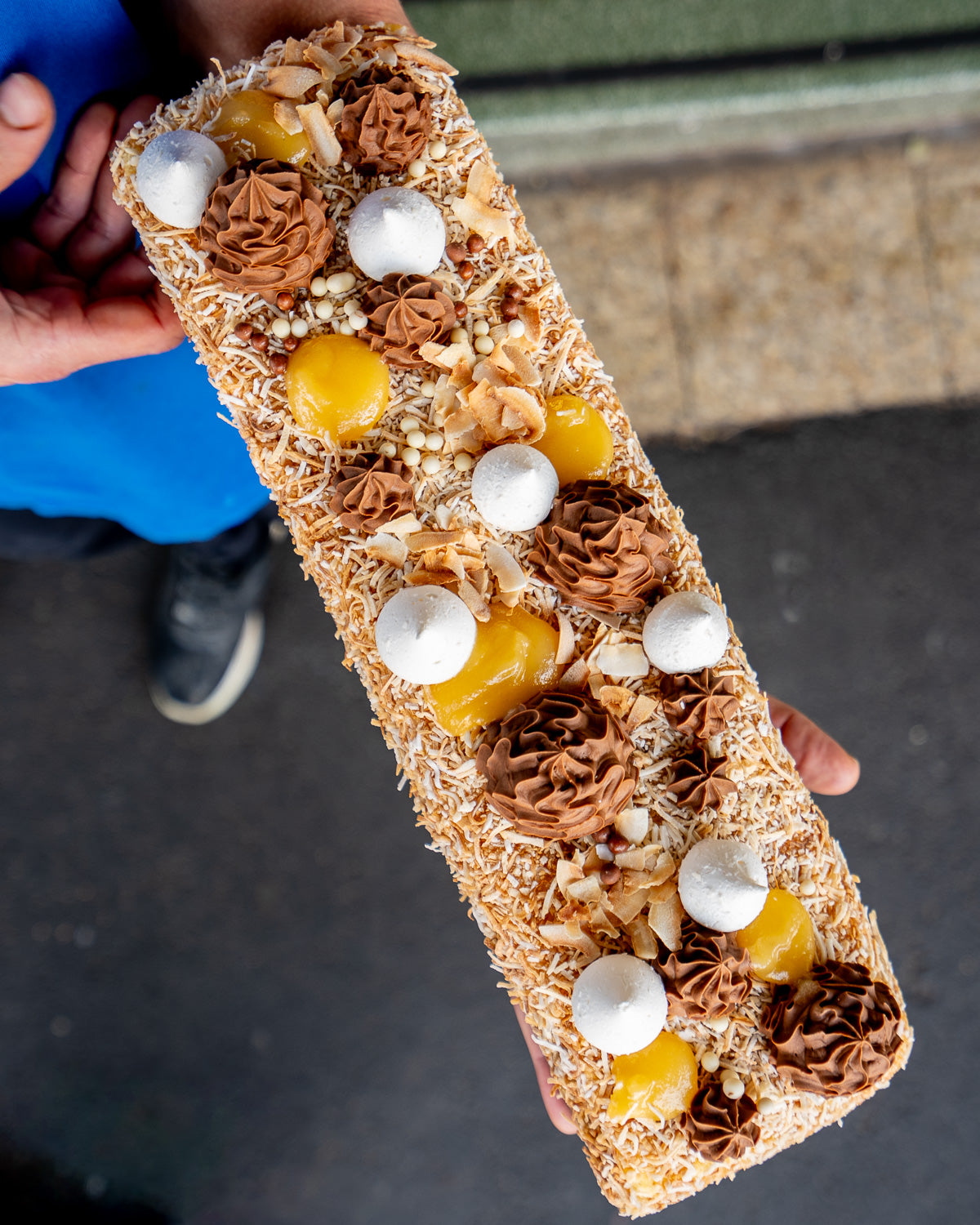 Portuguese Lamington (Christmas)