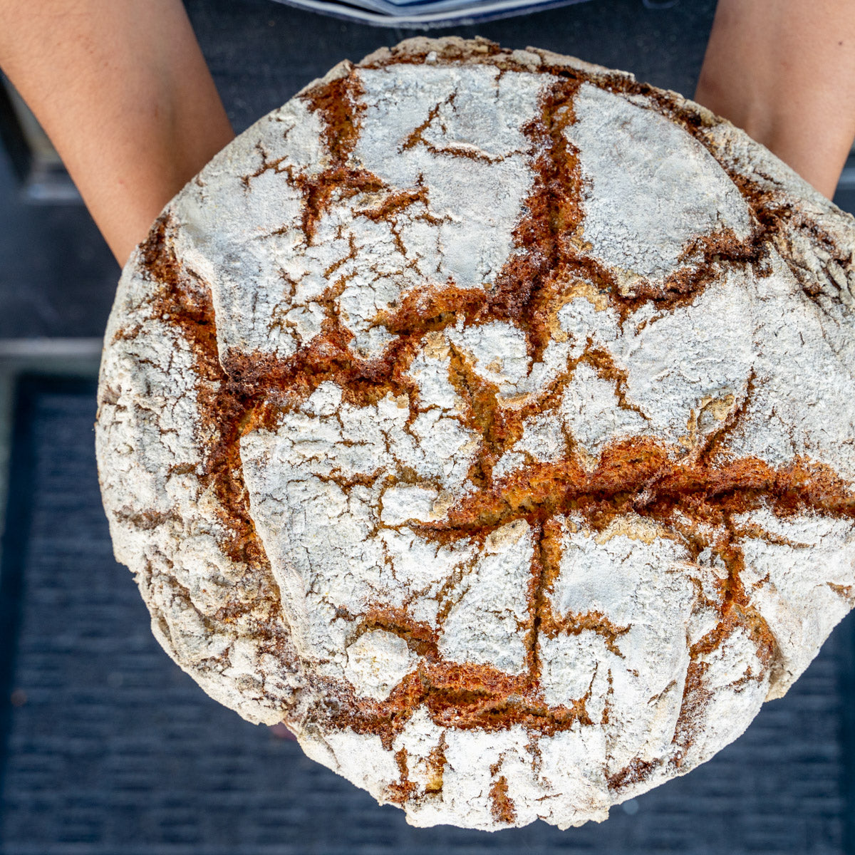 Broa Christmas Range